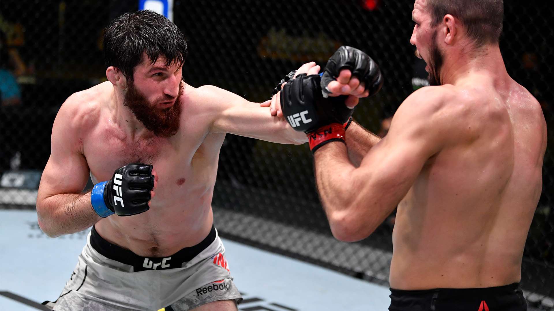 平台必须不 平台必须不